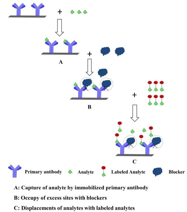 小分子化合物检测的高灵敏度免疫分析-新型非竞争性免疫分析设计