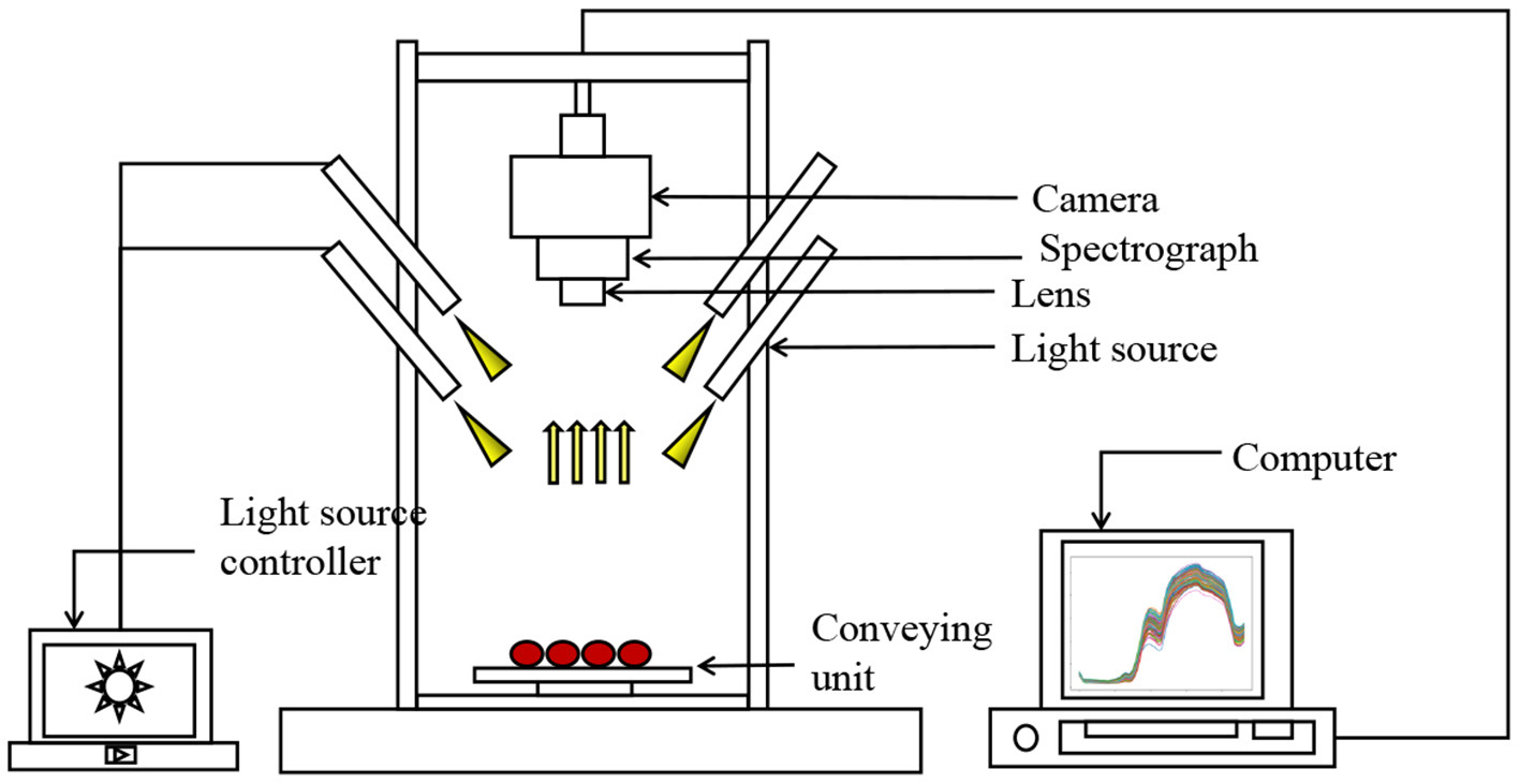 Deep Learning and Hyperspectral Images Based Tomato Soluble Solids Content and Firmness Estimation