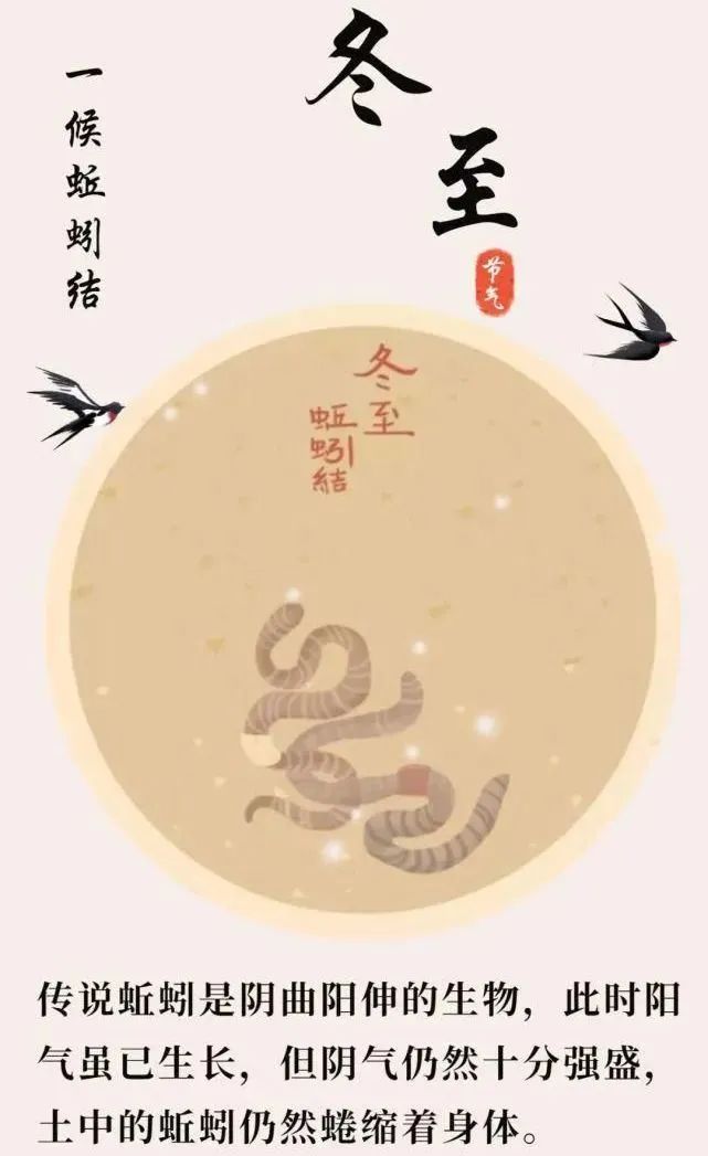 二十四節氣丨冬至大如年,人間小團圓 二十四節氣丨冬至大如年,人間小團圓