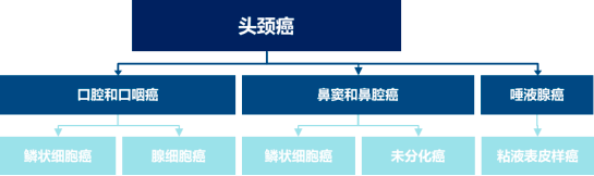 全球及中国PI3K抑制剂市场现状分析及发展趋势预测报告（2023版）