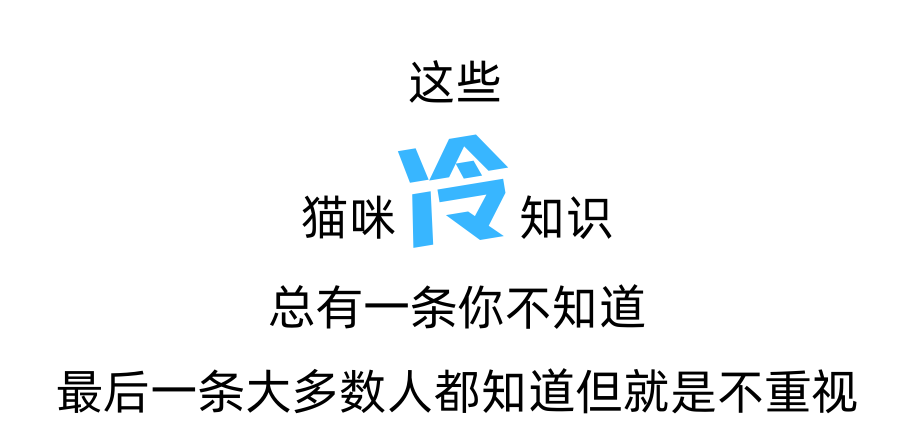 四个猫咪冷知识！最后一个经常被忽视！