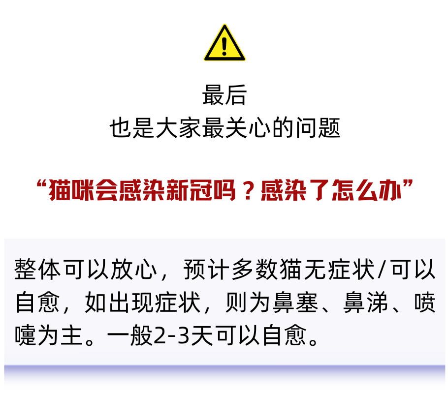 阳了之后，这些药千万别给宠物碰到！