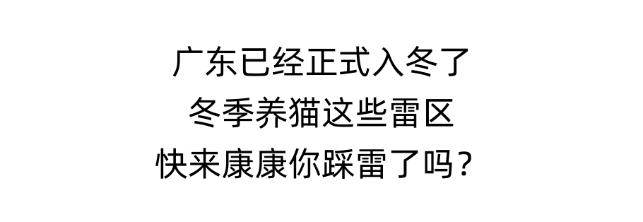 冬季养猫雷区，来康康你踩了几个！