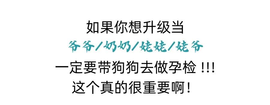 怎么判断狗狗难产了？