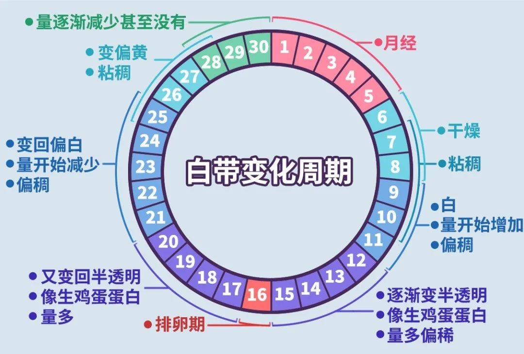 女生的白带,到底什么样的才算「正常」? 女生的白带,到底什么样的才算「正常」?