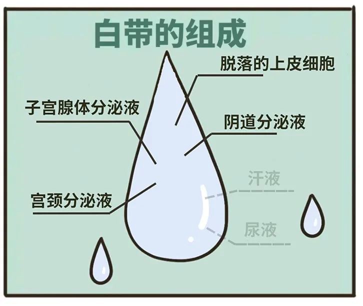 女生的白带,到底什么样的才算「正常」? 女生的白带,到底什么样的才算「正常」?