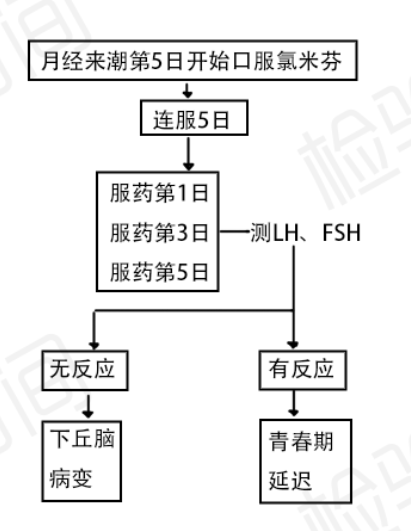 性激素化验单不会看?7 张思维导图帮你轻松弄懂 性激素化验单不会看?7 张思维导图帮你轻松弄懂