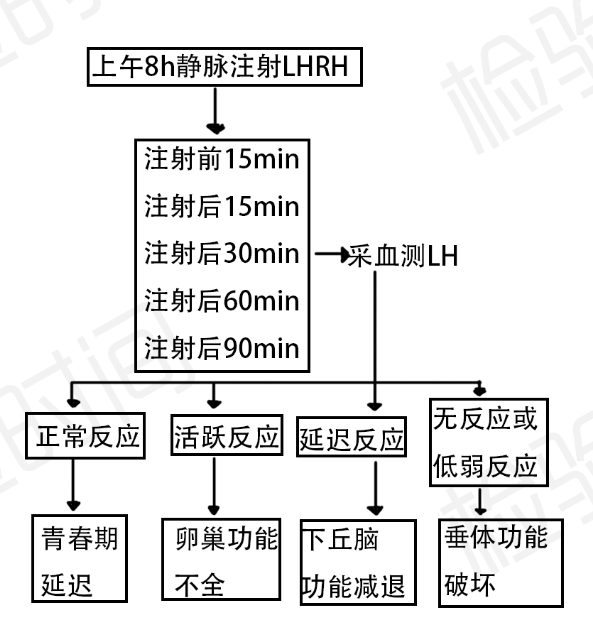 性激素化验单不会看?7 张思维导图帮你轻松弄懂 性激素化验单不会看?7 张思维导图帮你轻松弄懂