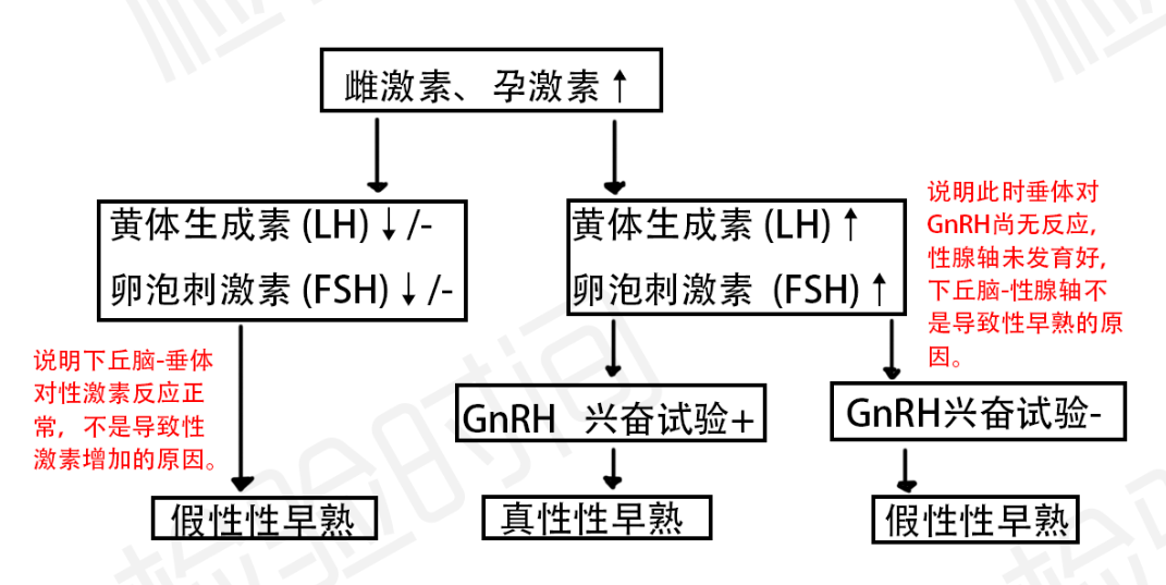 性激素化验单不会看?7 张思维导图帮你轻松弄懂 性激素化验单不会看?7 张思维导图帮你轻松弄懂