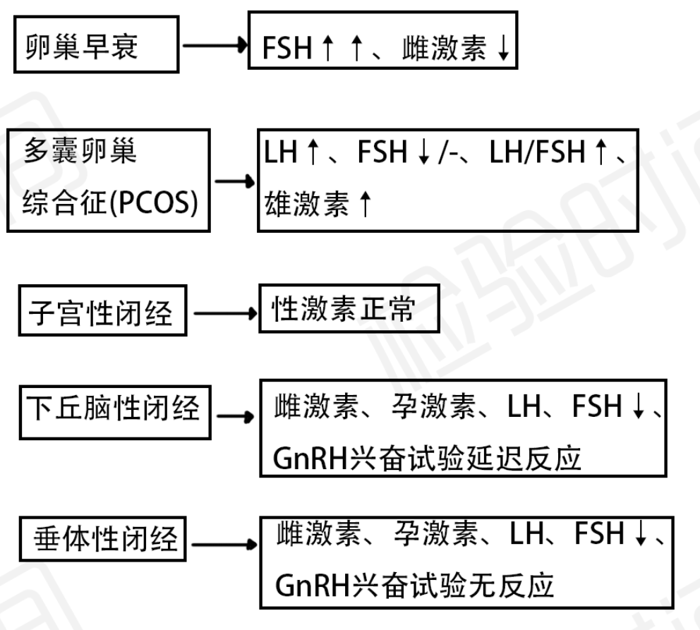 性激素化验单不会看?7 张思维导图帮你轻松弄懂 性激素化验单不会看?7 张思维导图帮你轻松弄懂