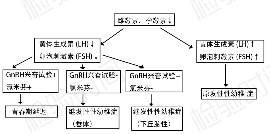 性激素化验单不会看?7 张思维导图帮你轻松弄懂 性激素化验单不会看?7 张思维导图帮你轻松弄懂