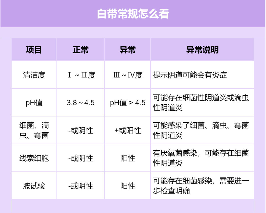 妇科 B 超、宫颈检查等报告怎么看?一文教你看懂 妇科 B 超、宫颈检查等报告怎么看?一文教你看懂