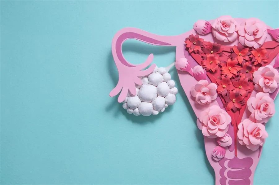 妇科 B 超、宫颈检查等报告怎么看?一文教你看懂 妇科 B 超、宫颈检查等报告怎么看?一文教你看懂