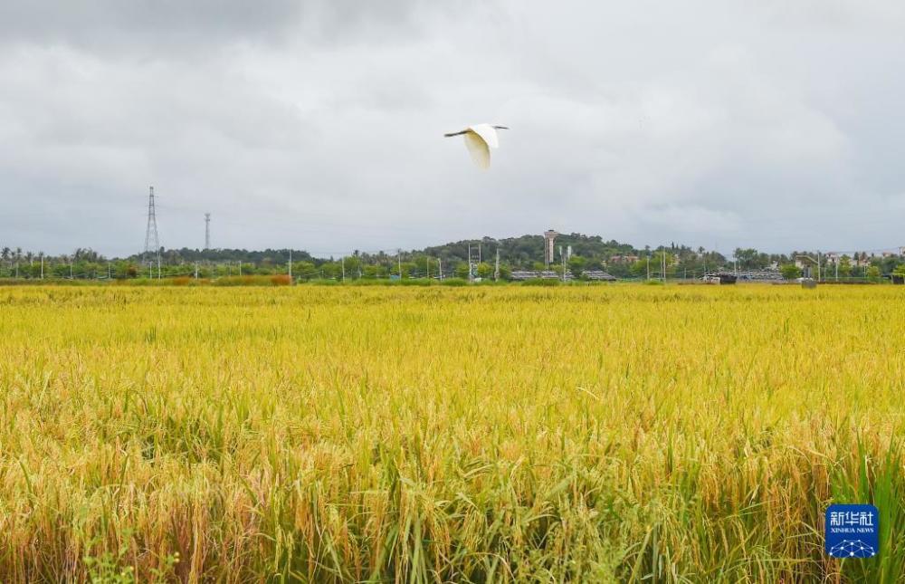 2023開年一線觀察丨讓第一動(dòng)力澎湃發(fā)力——科技創(chuàng)新一線觀察