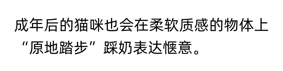 如何证明猫咪是猫咪呢？