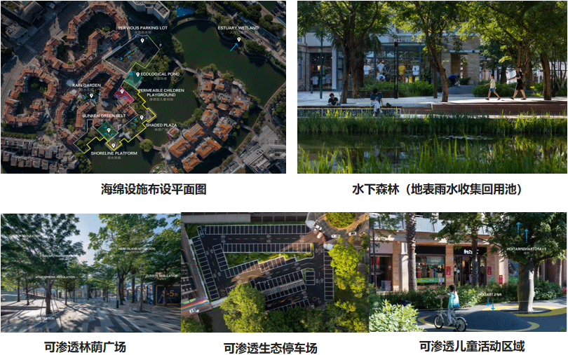 共商应对全球气候变化,深圳盐田向世界分享沿海城市韧性建设的中国实践 共商应对全球气候变化,深圳盐田向世界分享沿海城市韧性建设的中国实践