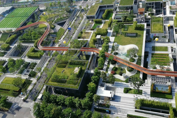 共商应对全球气候变化,深圳盐田向世界分享沿海城市韧性建设的中国实践 共商应对全球气候变化,深圳盐田向世界分享沿海城市韧性建设的中国实践