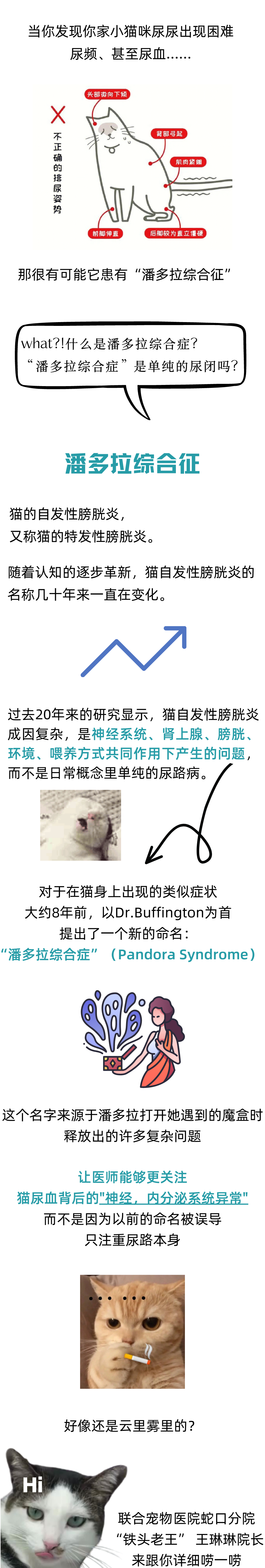 想要让猫咪好好过冬？警惕这个疾病！