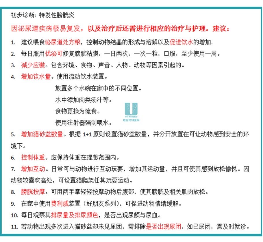 想要让猫咪好好过冬？警惕这个疾病！