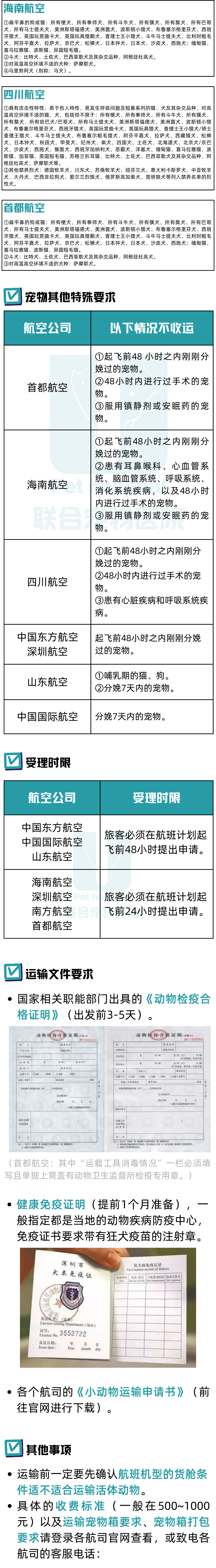 带毛孩子回家过年？你需要这份超全宠物托运指南！