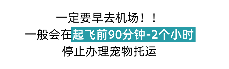 带毛孩子回家过年？你需要这份超全宠物托运指南！