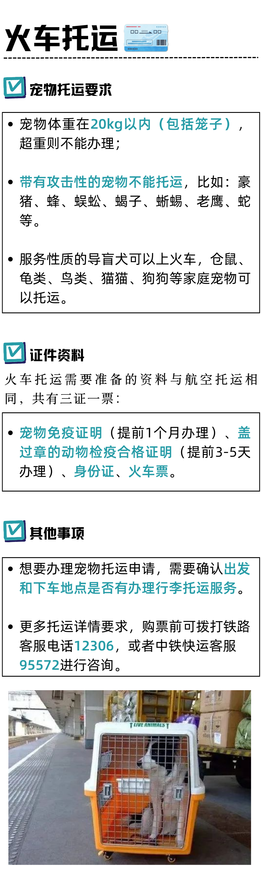 带毛孩子回家过年？你需要这份超全宠物托运指南！