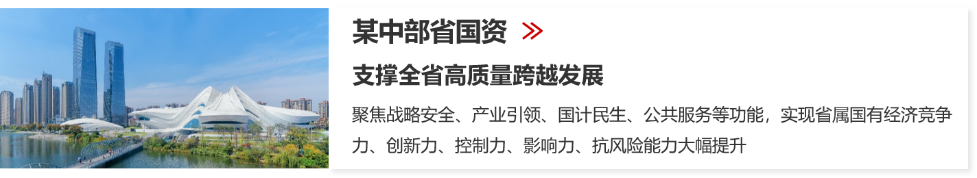 國有資本中長期規劃 國有資本中長期規劃