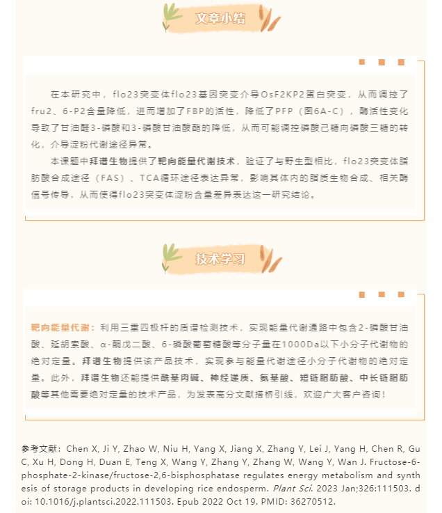Plant Sci（IF=5.36）|南京农业大学王益华教授团队揭示果糖-2,6-二磷酸调控水稻淀粉代谢途径