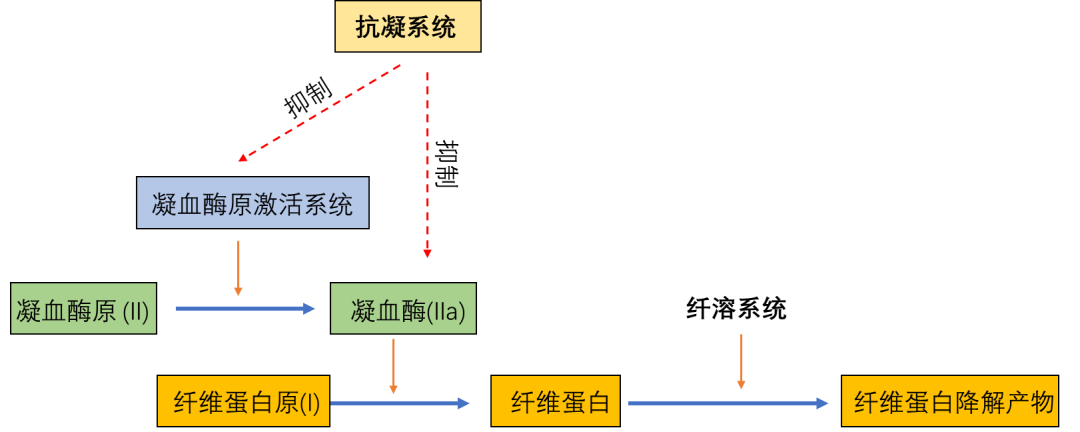 主任提问:PT、APTT、TT 有什么区别?临床怎么用? 主任提问:PT、APTT、TT 有什么区别?临床怎么用?