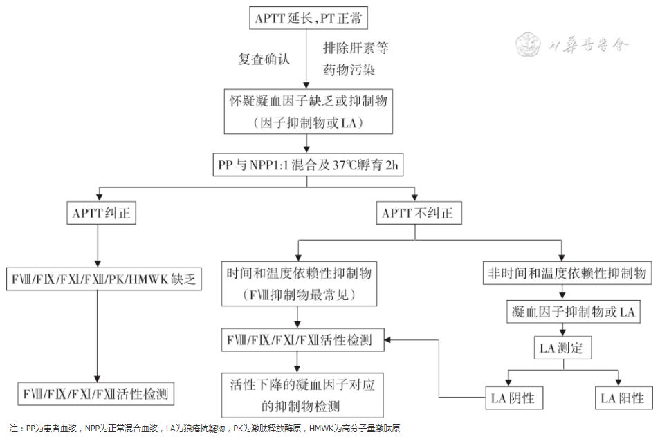 主任提问:PT、APTT、TT 有什么区别?临床怎么用? 主任提问:PT、APTT、TT 有什么区别?临床怎么用?
