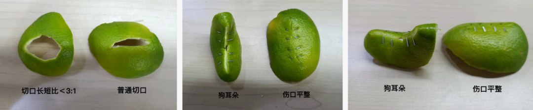 缝合方法知多少,请收下这份「武功秘籍」 缝合是将已经切开或外伤断裂的组织,器官进行对合或重建通道,是保证良好愈合的基本条件。能起对合或闭合组织的作用,可促进伤口愈合,止血以及帮助器官结构重建或整形。 缝合方法知多少,请收下这份「武功秘籍」 缝合是将已经切开或外伤断裂的组织,器官进行对合或重建通道,是保证良好愈合的基本条件。能起对合或闭合组织的作用,可促进伤口愈合,止血以及帮助器官结构重建或整形。