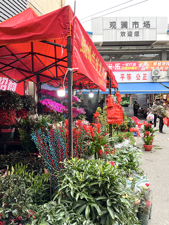 农贸市场里的“幸福年味”