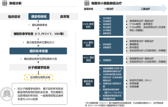 2023-2029年全球及中国基因检测市场深度调研及投资可行性预测咨询报告
