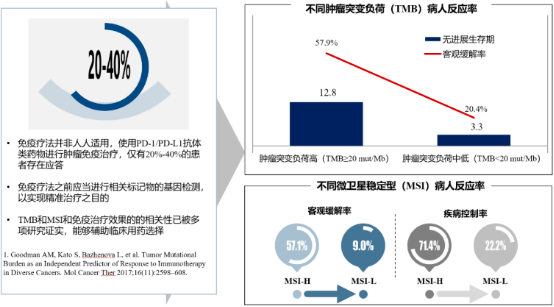 2023-2029年全球及中国基因检测市场深度调研及投资可行性预测咨询报告