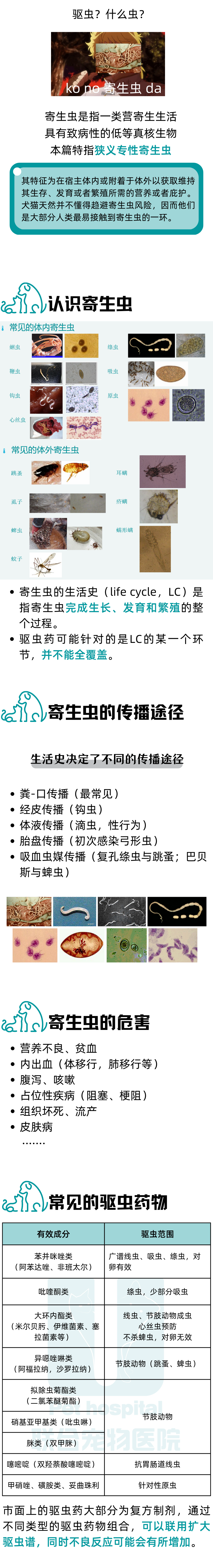 驱虫药怎么选？这篇文章帮你摆脱选择焦虑！