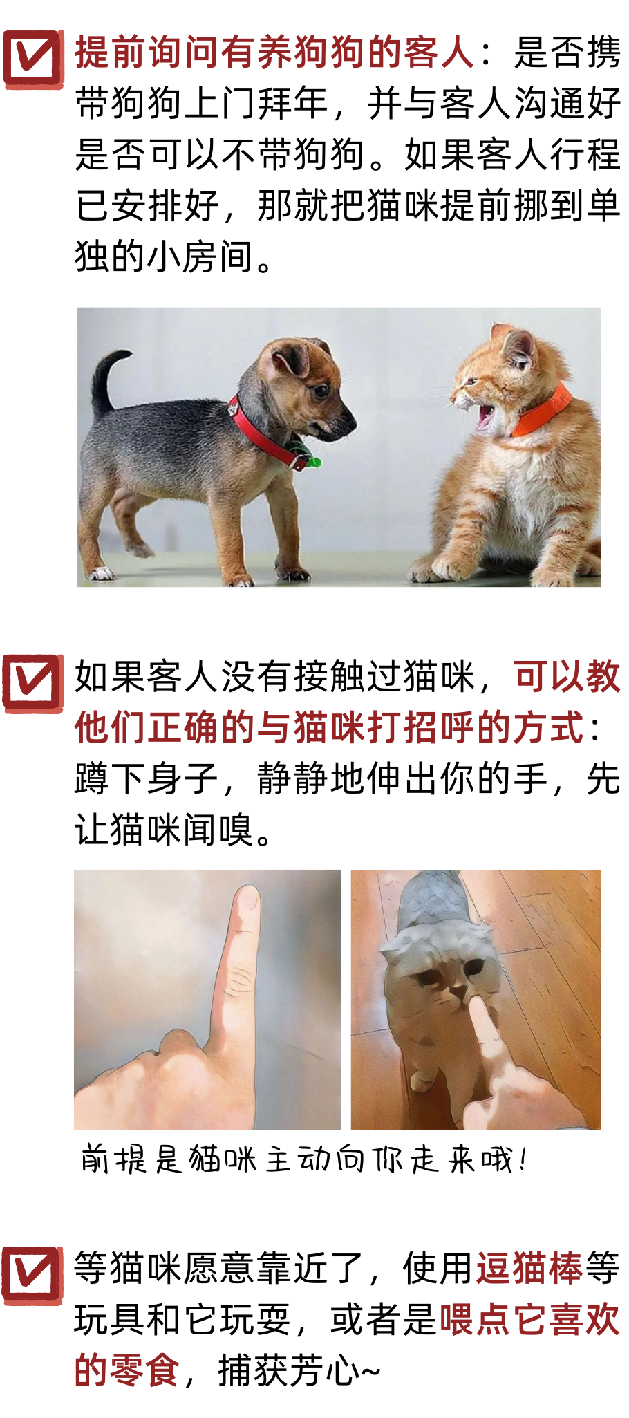 亲戚来拜年，如何保护“社恐”猫咪的面子？