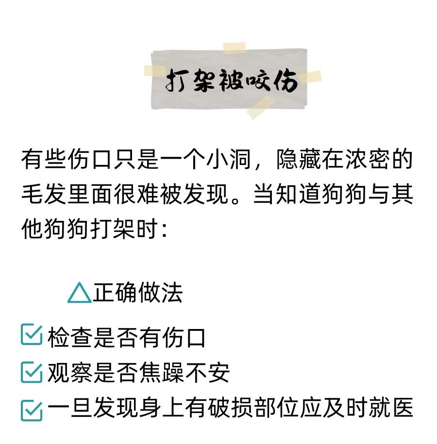 有用但希望狗狗用不上的急救知识！