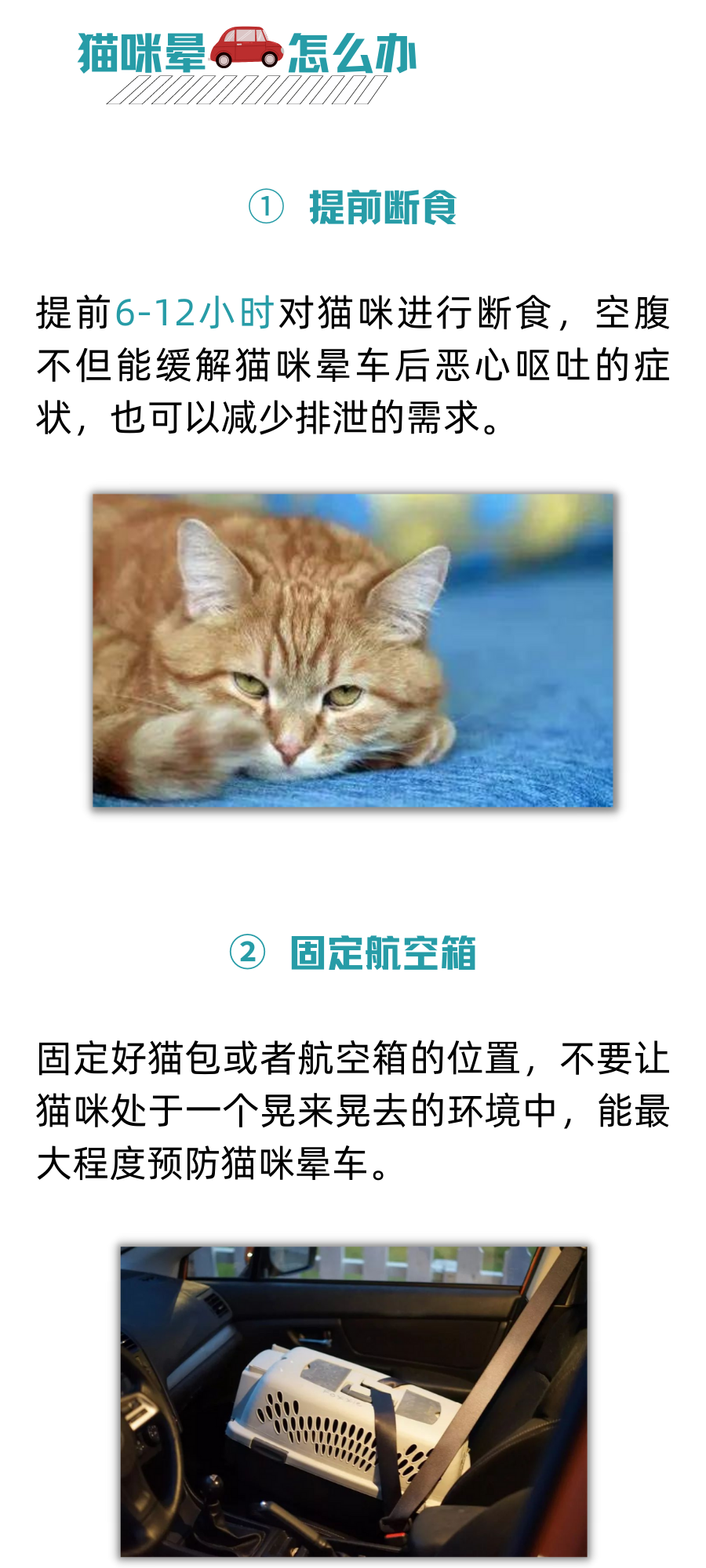 猫咪晕车狂吐怎么办？