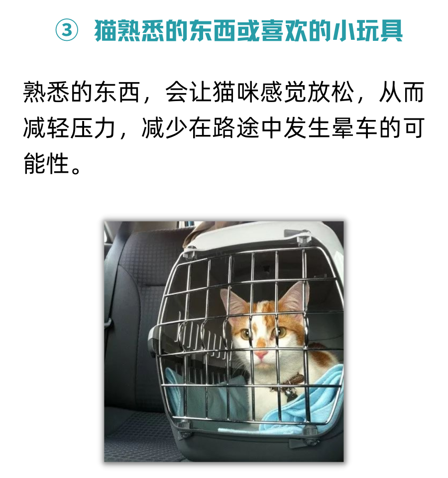 猫咪晕车狂吐怎么办？