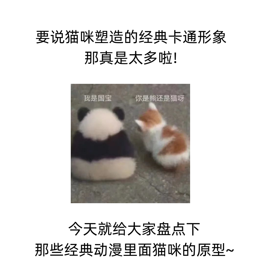 盘点经典动漫猫咪的原型，Hello Kitty不是猫？