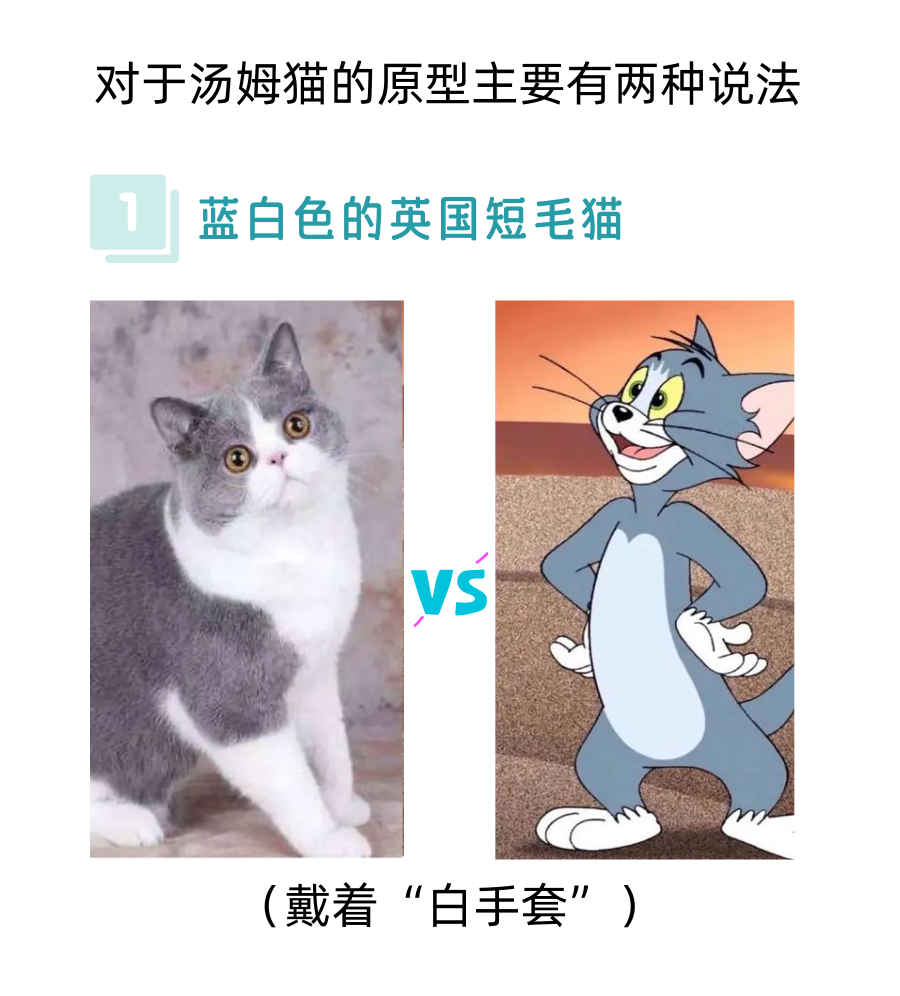 盘点经典动漫猫咪的原型，Hello Kitty不是猫？