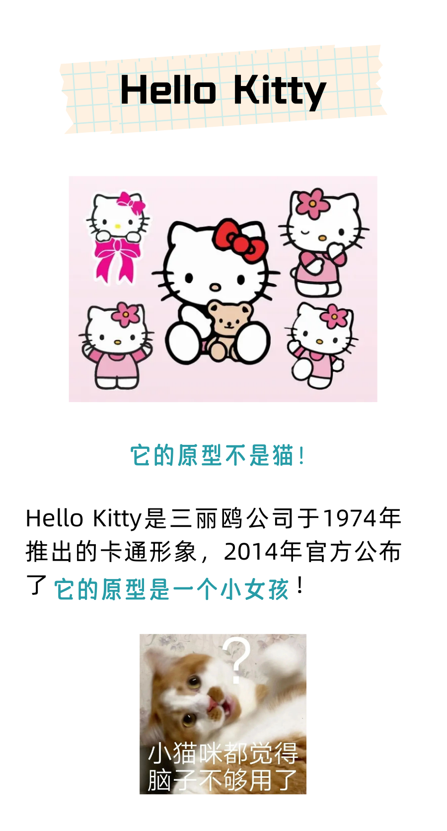 盘点经典动漫猫咪的原型，Hello Kitty不是猫？