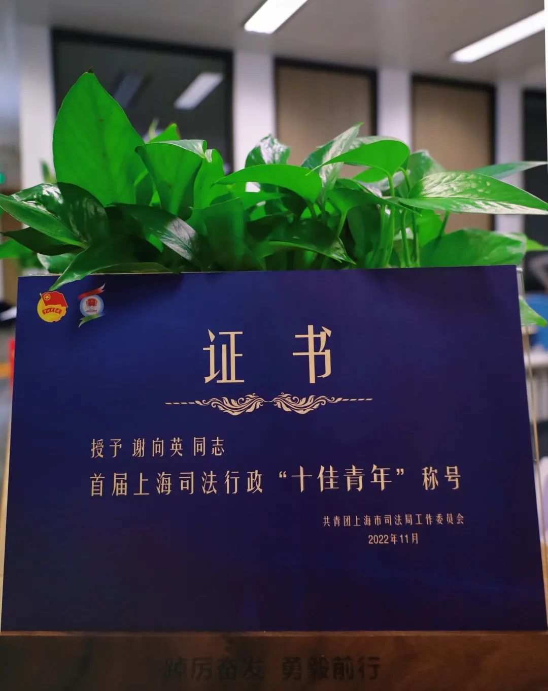 【资讯】博和汉商律师荣获上海司法行政“十佳青年”称号