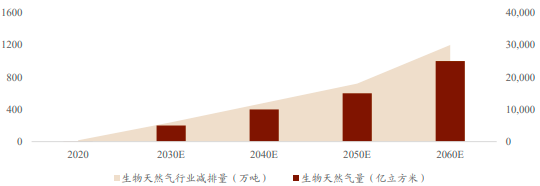 2023年生物质能开发与利用行业市场规模发展潜力研究及项目投资可行性评估咨询