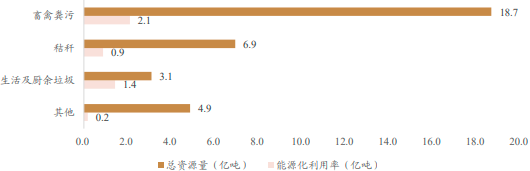 2023年生物质能开发与利用行业市场规模发展潜力研究及项目投资可行性评估咨询