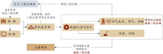 2023年生物质能开发与利用行业市场规模发展潜力研究及项目投资可行性评估咨询