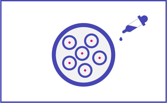 Cell Culture