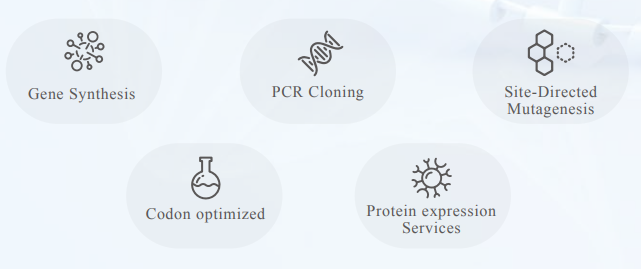 Genes and Gene Fragments Synthesis Service