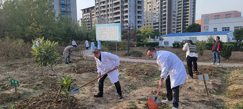 长丰县中医院组织开展“普及中药知识，美化中草药园”党建活动