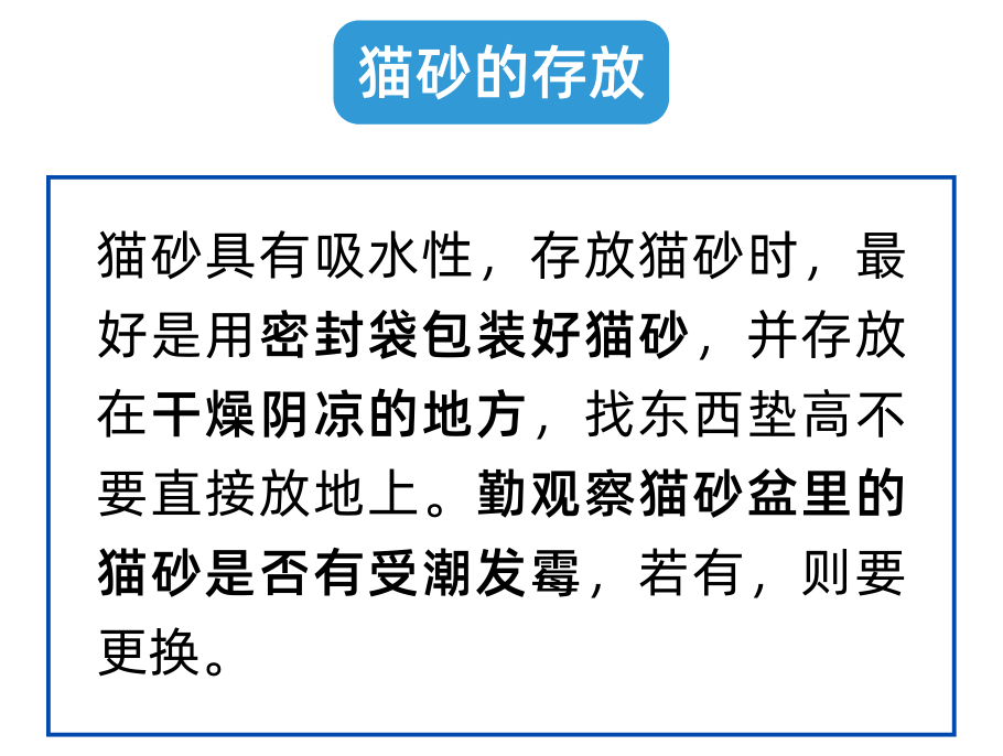 回南天猫都潮了？养猫人注意注意！